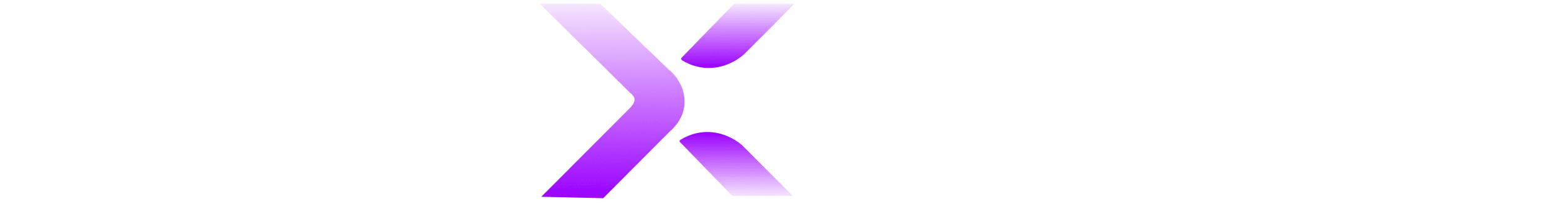 NineXScale Logo